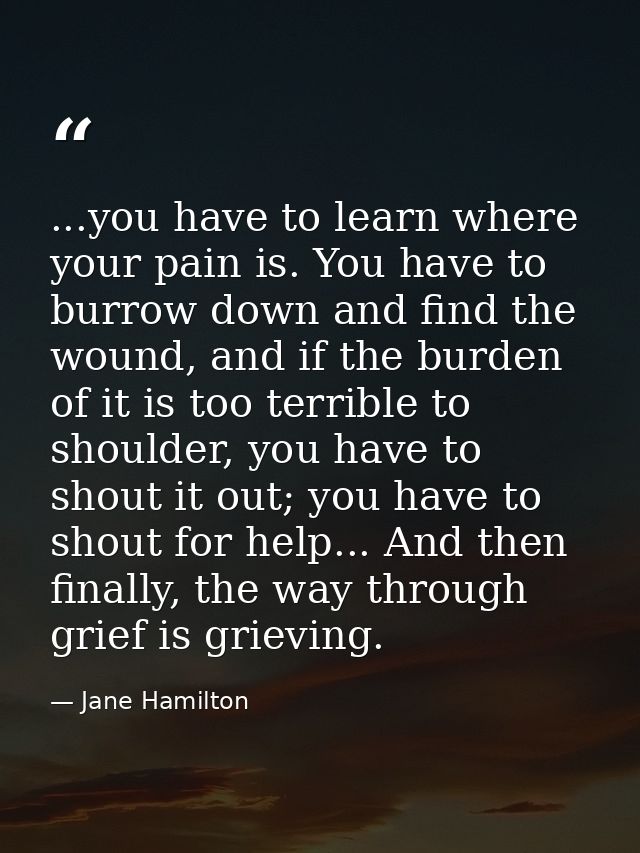 ...you have to learn where your pain is. You have to burrow down and find the wound, and if the burden of it is too terr — Jane Hamilton