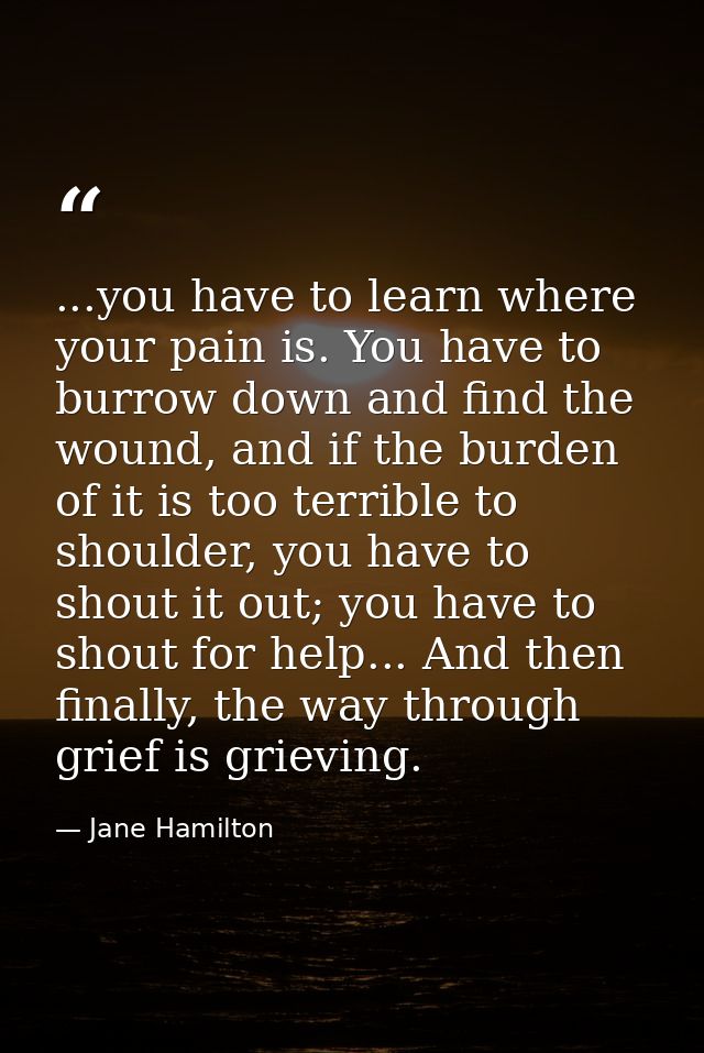 ...you have to learn where your pain is. You have to burrow down and find the wound, and if the burden of it is too terr — Jane Hamilton