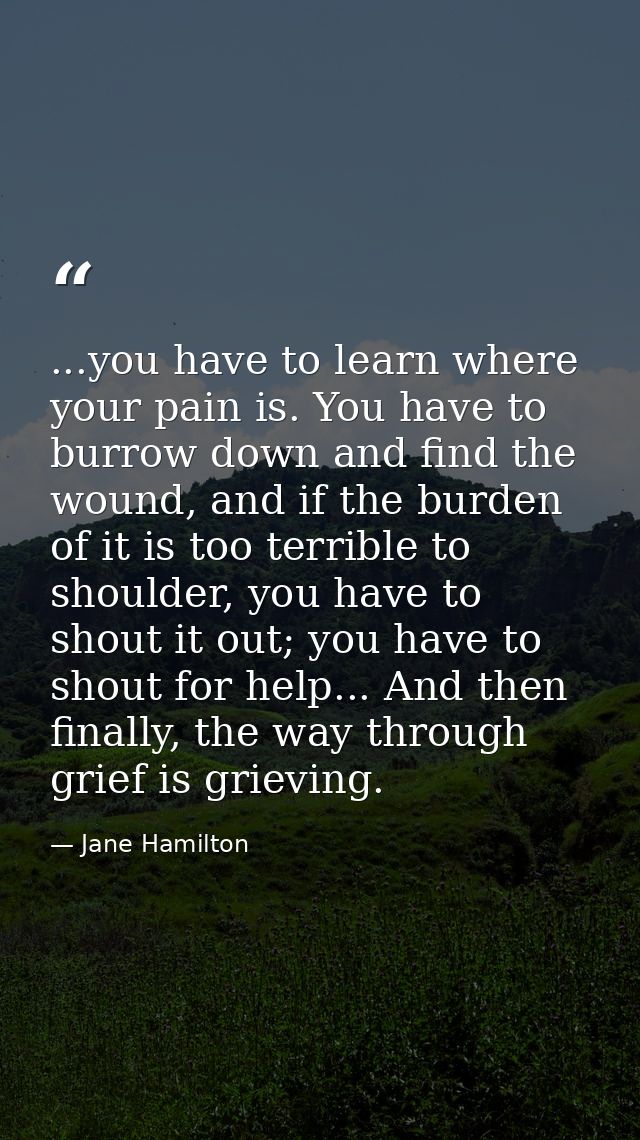 ...you have to learn where your pain is. You have to burrow down and find the wound, and if the burden of it is too terr — Jane Hamilton