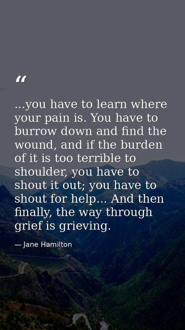 ...you have to learn where your pain is. You have to burrow down and find the wound, and if the burden of it is too terr — Jane Hamilton