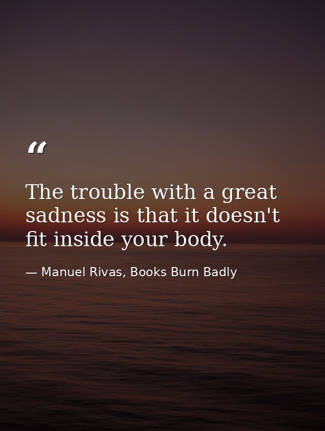 The trouble with a great sadness is that it doesn't fit inside your body. — Manuel Rivas, Books Burn Badly