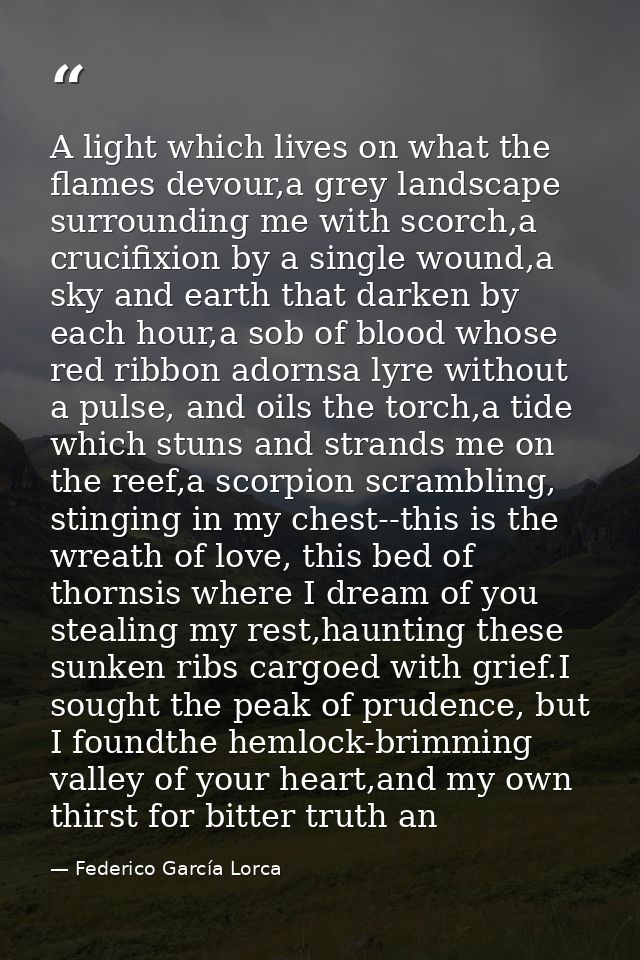 A light which lives on what the flames devour,a grey landscape surrounding me with scorch,a crucifixion by a single woun — Federico García Lorca