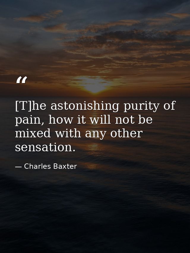 [T]he astonishing purity of pain, how it will not be mixed with any other sensation. — Charles Baxter