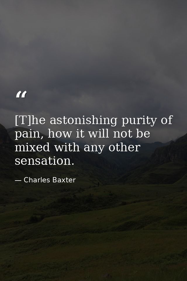 [T]he astonishing purity of pain, how it will not be mixed with any other sensation. — Charles Baxter