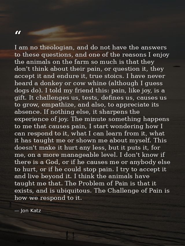 I am no theologian, and do not have the answers to these questions, and one of the reasons I enjoy the animals on the fa — Jon Katz