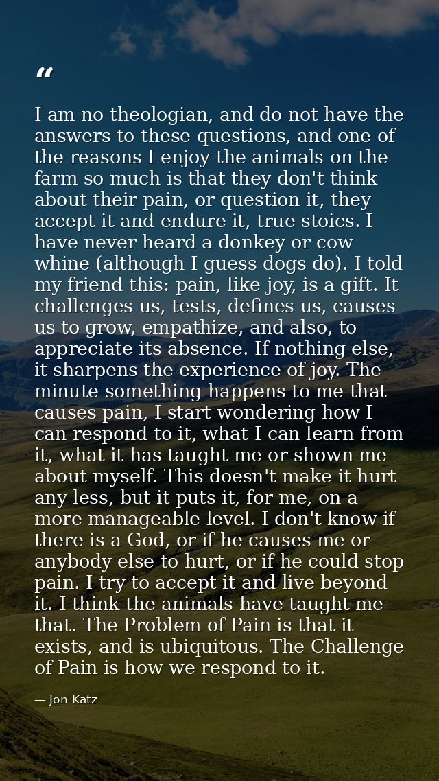 I am no theologian, and do not have the answers to these questions, and one of the reasons I enjoy the animals on the fa — Jon Katz