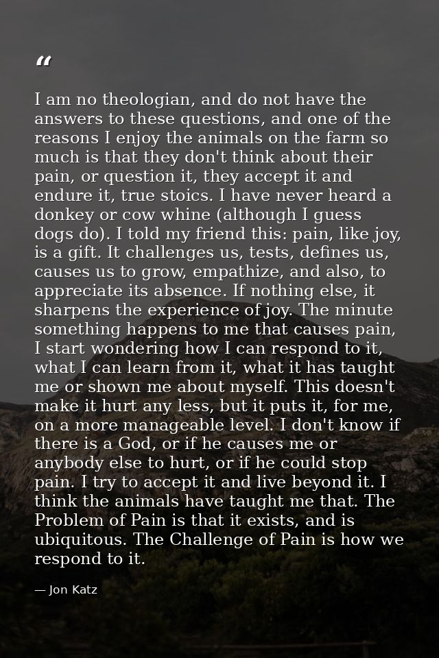 I am no theologian, and do not have the answers to these questions, and one of the reasons I enjoy the animals on the fa — Jon Katz