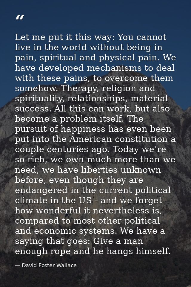 Let me put it this way: You cannot live in the world without being in pain, spiritual and physical pain. We have develop — David Foster Wallace