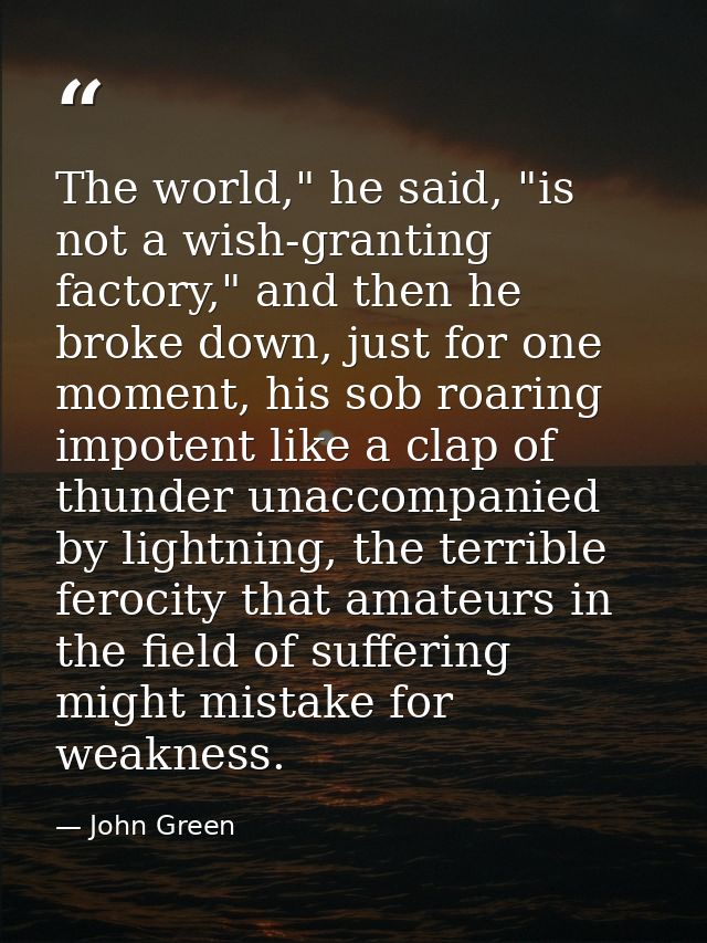 The world," he said, "is not a wish-granting factory," and then he broke down, just for one moment, his sob roaring impo — John Green