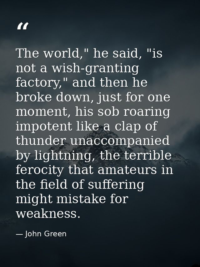The world," he said, "is not a wish-granting factory," and then he broke down, just for one moment, his sob roaring impo — John Green