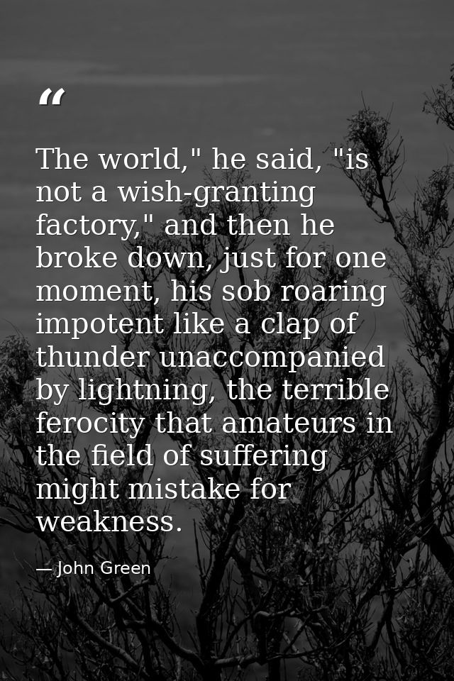 The world," he said, "is not a wish-granting factory," and then he broke down, just for one moment, his sob roaring impo — John Green