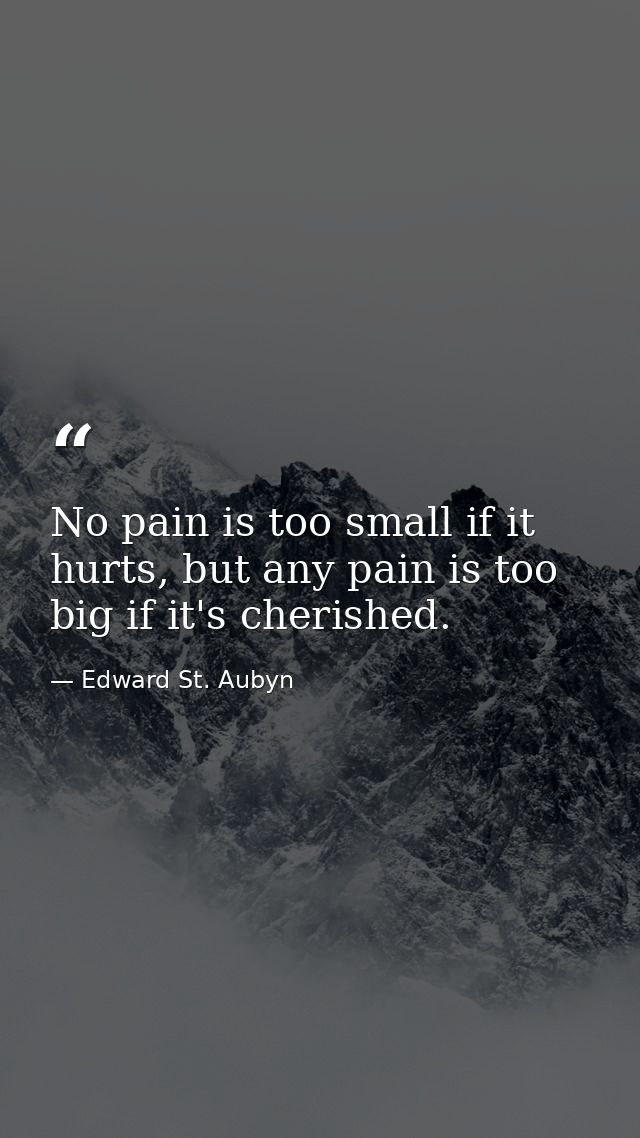 No pain is too small if it hurts, but any pain is too big if it's cherished. — Edward St. Aubyn