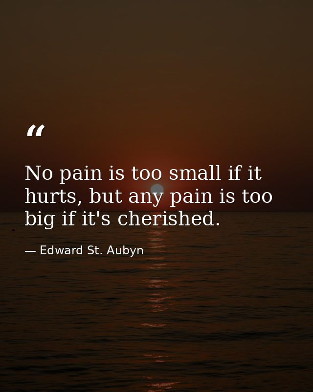 No pain is too small if it hurts, but any pain is too big if it's cherished. — Edward St. Aubyn