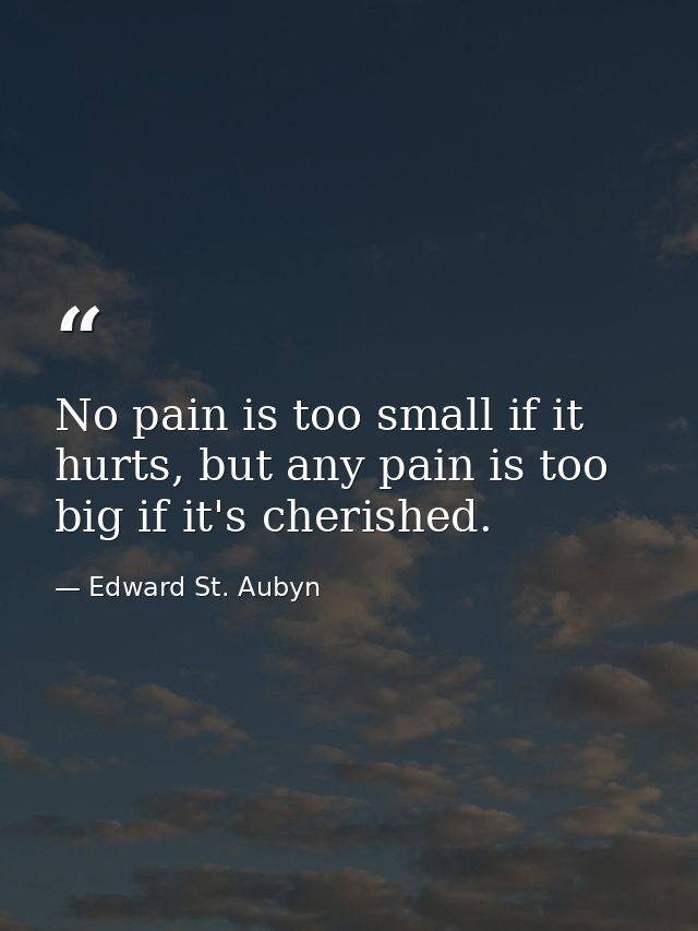No pain is too small if it hurts, but any pain is too big if it's cherished. — Edward St. Aubyn