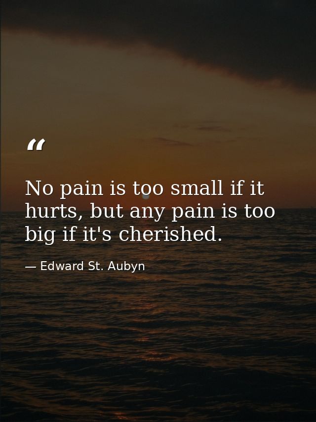 No pain is too small if it hurts, but any pain is too big if it's cherished. — Edward St. Aubyn