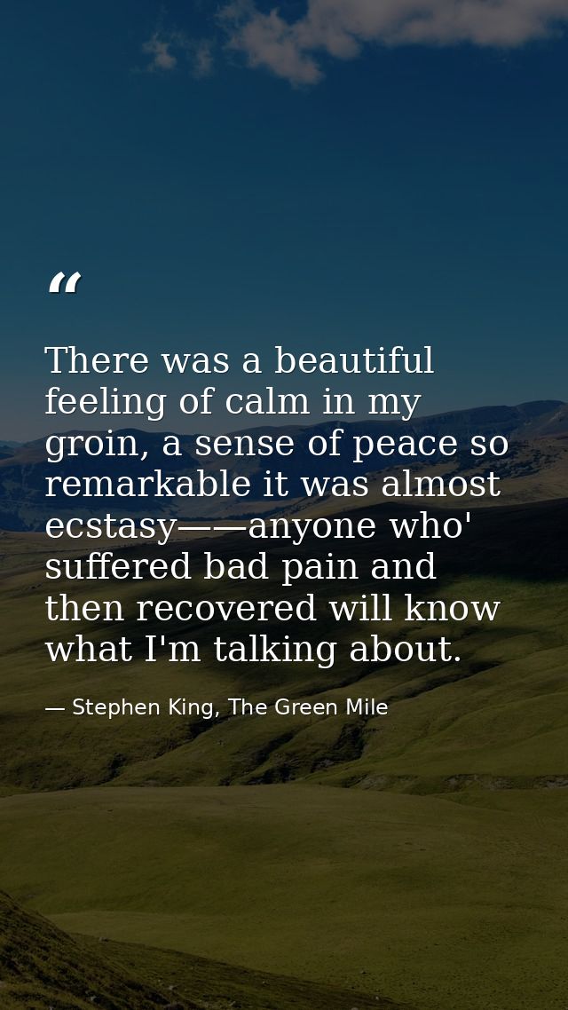 There was a beautiful feeling of calm in my groin, a sense of peace so remarkable it was almost ecstasy——anyone who' suf — Stephen King, The Green Mile