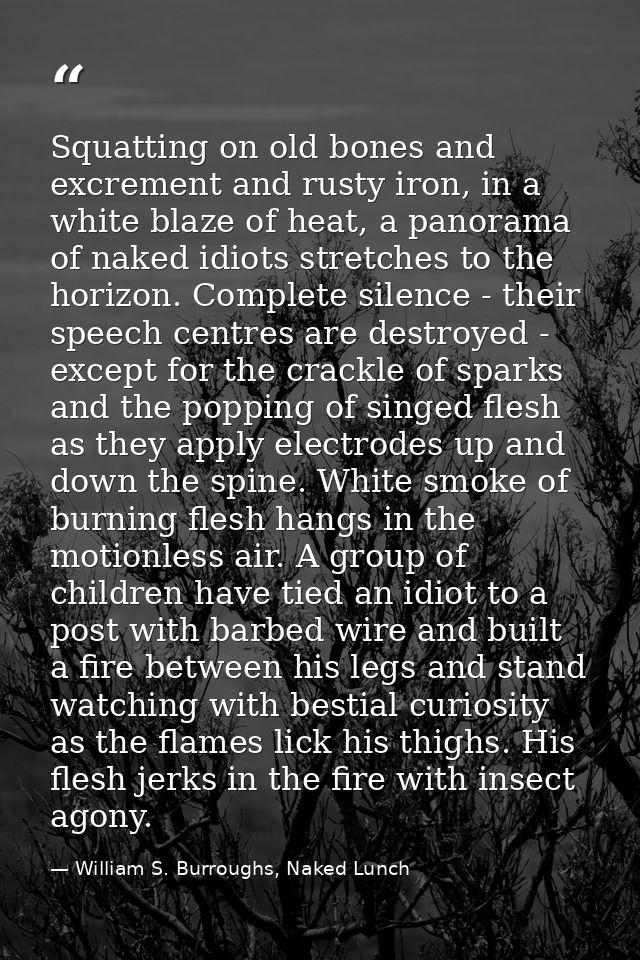 Squatting on old bones and excrement and rusty iron, in a white blaze of heat, a panorama of naked idiots stretches to t — William S. Burroughs, Naked Lunch