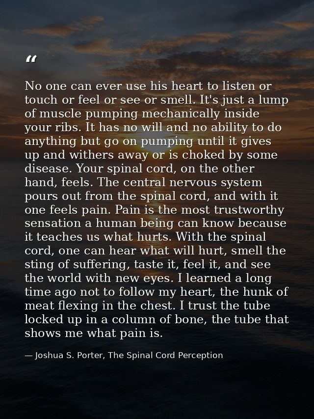 No one can ever use his heart to listen or touch or feel or see or smell. It's just a lump of muscle pumping mechanicall — Joshua S. Porter, The Spinal Cord Perception