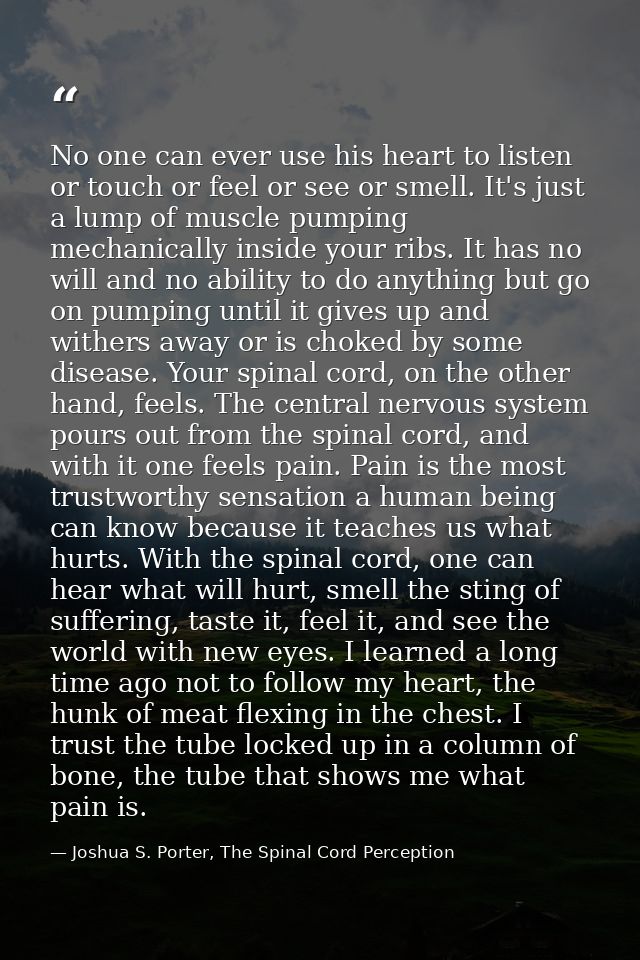 No one can ever use his heart to listen or touch or feel or see or smell. It's just a lump of muscle pumping mechanicall — Joshua S. Porter, The Spinal Cord Perception