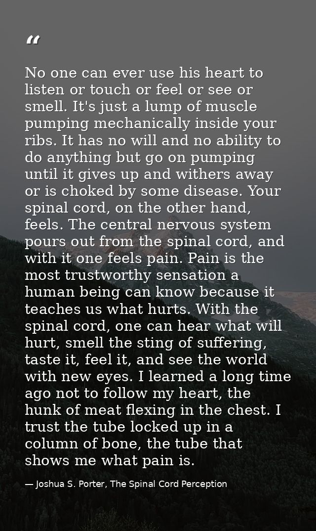 No one can ever use his heart to listen or touch or feel or see or smell. It's just a lump of muscle pumping mechanicall — Joshua S. Porter, The Spinal Cord Perception