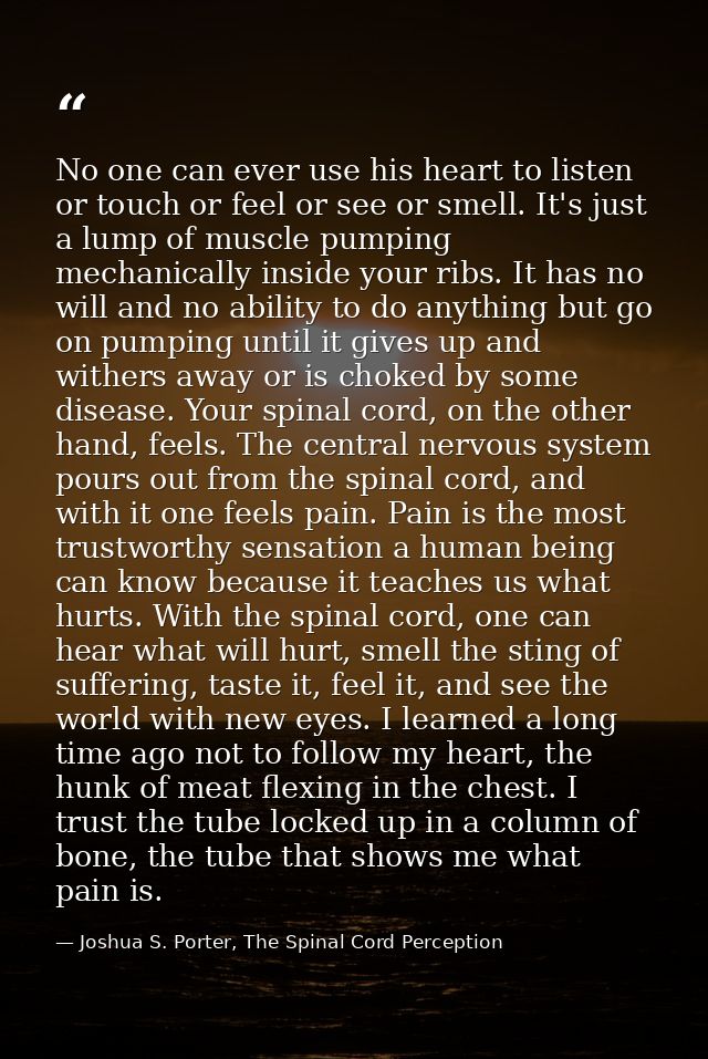 No one can ever use his heart to listen or touch or feel or see or smell. It's just a lump of muscle pumping mechanicall — Joshua S. Porter, The Spinal Cord Perception