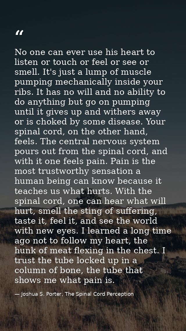 No one can ever use his heart to listen or touch or feel or see or smell. It's just a lump of muscle pumping mechanicall — Joshua S. Porter, The Spinal Cord Perception