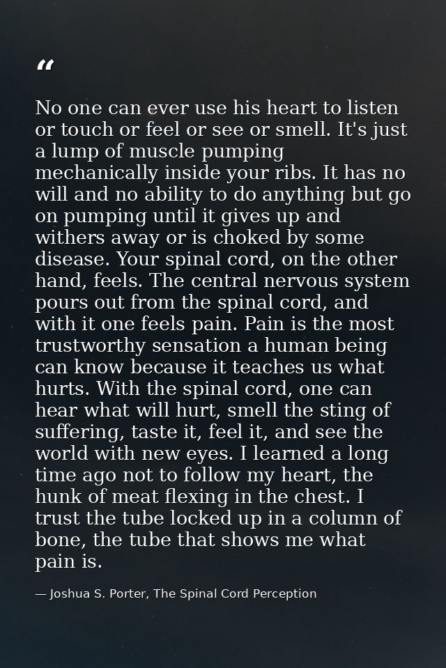 No one can ever use his heart to listen or touch or feel or see or smell. It's just a lump of muscle pumping mechanicall — Joshua S. Porter, The Spinal Cord Perception