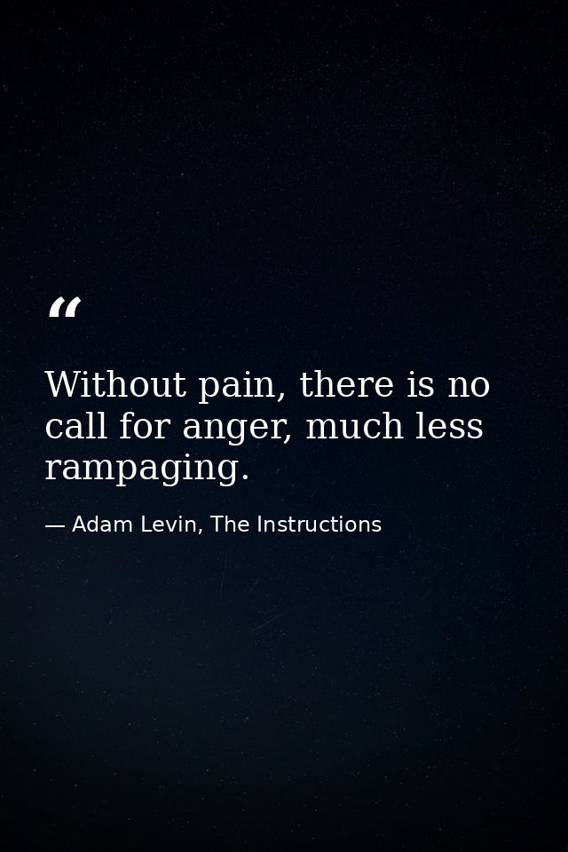 Without pain, there is no call for anger, much less rampaging. — Adam Levin, The Instructions