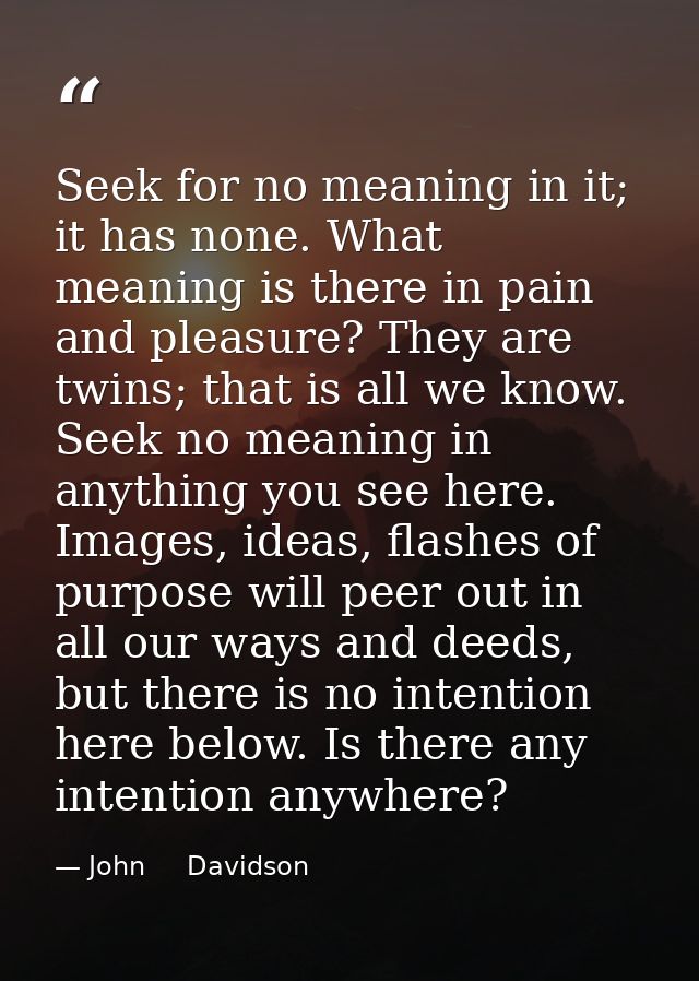 Seek for no meaning in it; it has none. What meaning is there in pain and pleasure? They are twins; that is all we know. — John     Davidson