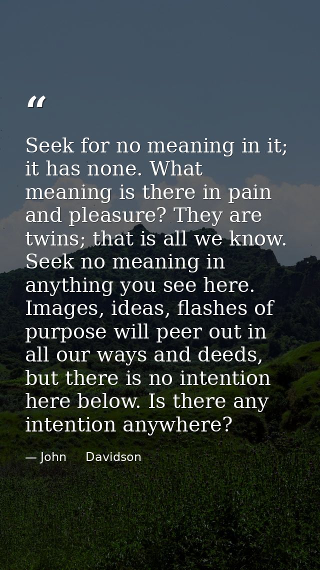 Seek for no meaning in it; it has none. What meaning is there in pain and pleasure? They are twins; that is all we know. — John     Davidson
