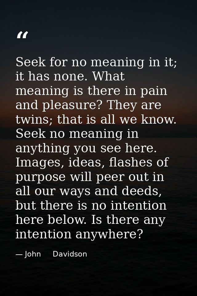 Seek for no meaning in it; it has none. What meaning is there in pain and pleasure? They are twins; that is all we know. — John     Davidson