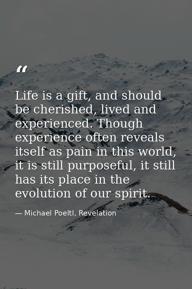 Life is a gift, and should be cherished, lived and experienced. Though experience often reveals itself as pain in this w — Michael Poeltl, Revelation