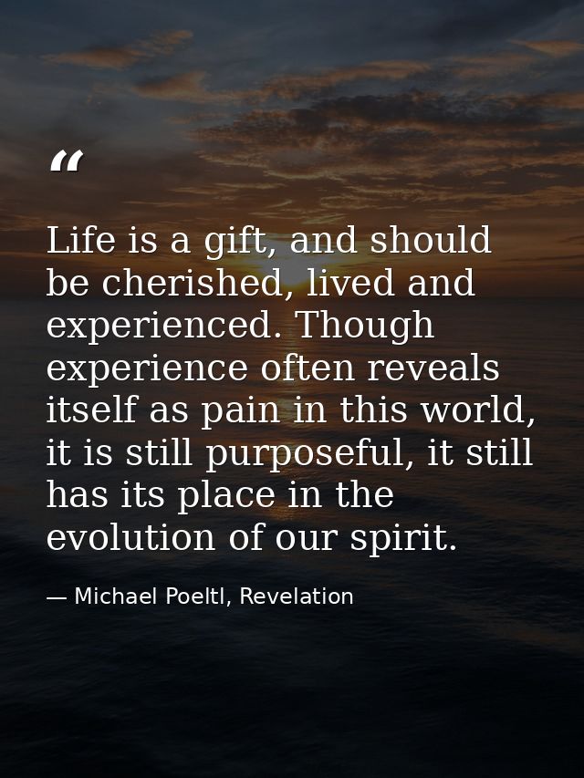 Life is a gift, and should be cherished, lived and experienced. Though experience often reveals itself as pain in this w — Michael Poeltl, Revelation