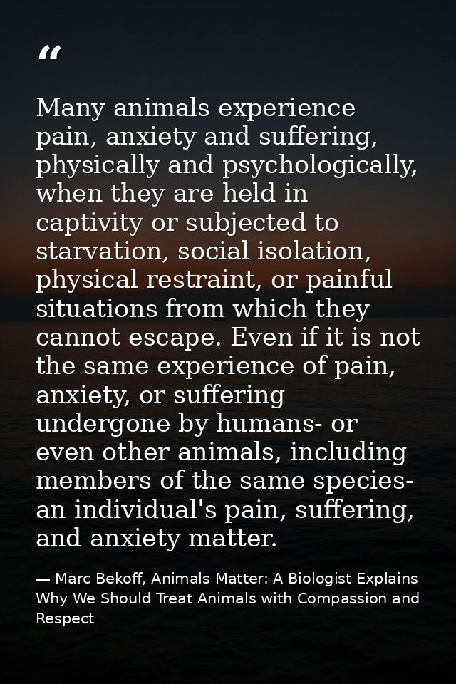 Many animals experience pain, anxiety and suffering, physically and psychologically, when they are held in captivity or  — Marc Bekoff, Animals Matter: A Biologist Explains Why We Should Treat Animals with Compassion and Respect