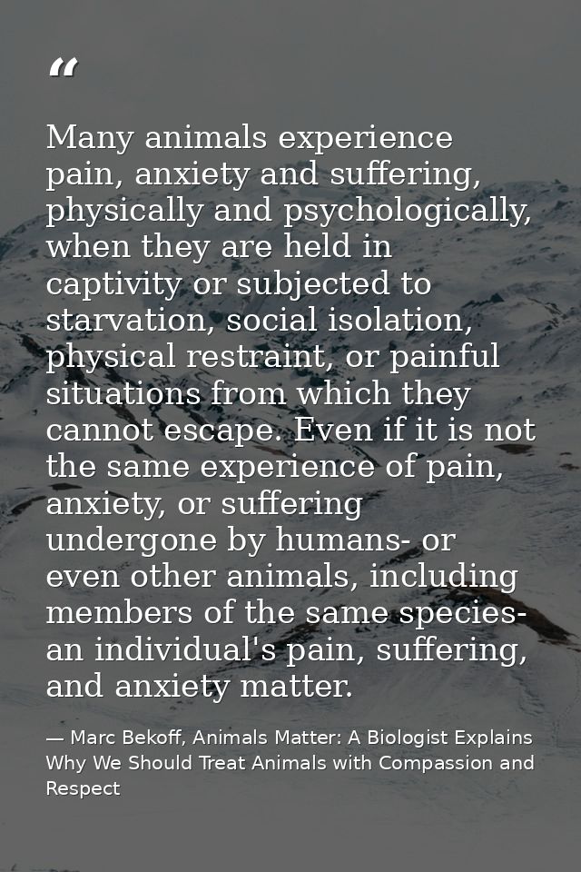 Many animals experience pain, anxiety and suffering, physically and psychologically, when they are held in captivity or  — Marc Bekoff, Animals Matter: A Biologist Explains Why We Should Treat Animals with Compassion and Respect