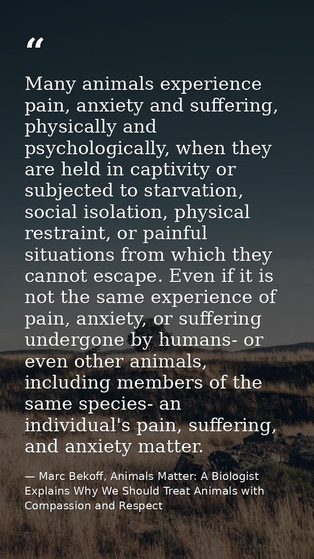 Many animals experience pain, anxiety and suffering, physically and psychologically, when they are held in captivity or  — Marc Bekoff, Animals Matter: A Biologist Explains Why We Should Treat Animals with Compassion and Respect