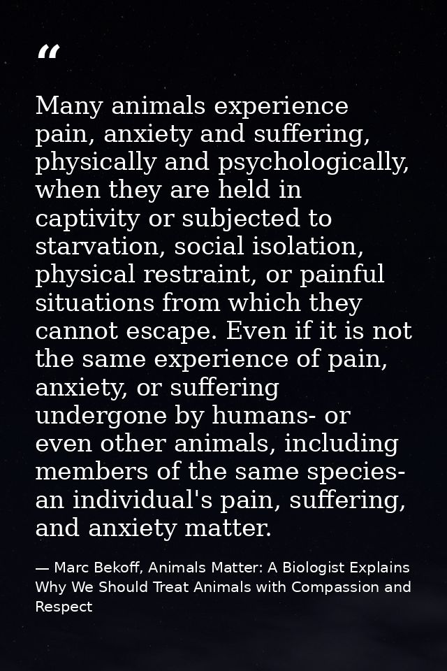 Many animals experience pain, anxiety and suffering, physically and psychologically, when they are held in captivity or  — Marc Bekoff, Animals Matter: A Biologist Explains Why We Should Treat Animals with Compassion and Respect