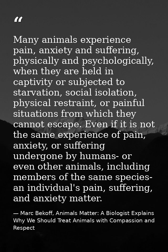 Many animals experience pain, anxiety and suffering, physically and psychologically, when they are held in captivity or  — Marc Bekoff, Animals Matter: A Biologist Explains Why We Should Treat Animals with Compassion and Respect