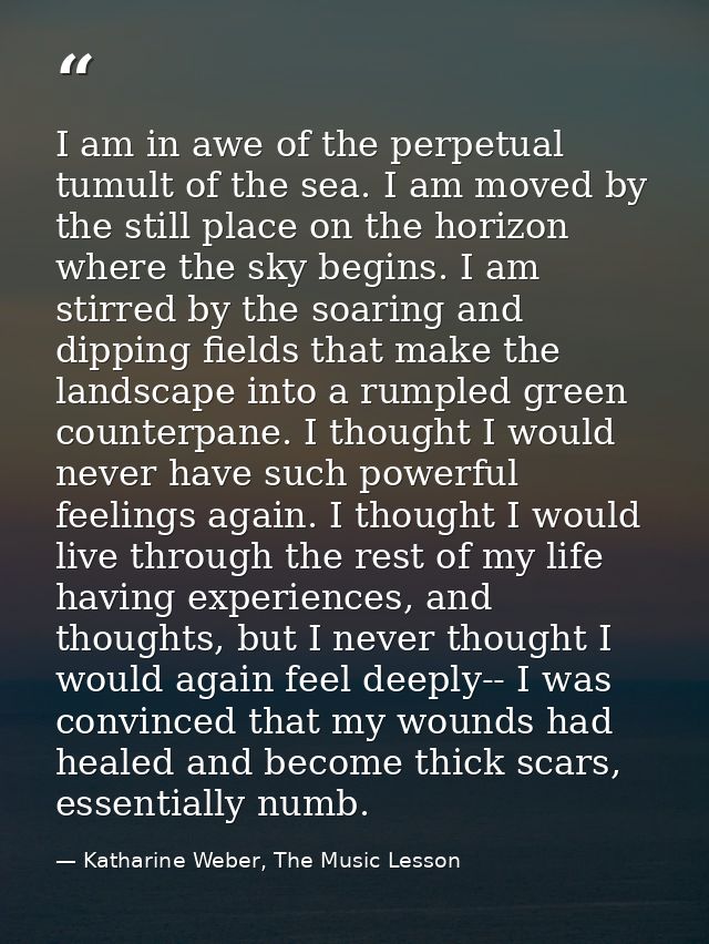 I am in awe of the perpetual tumult of the sea. I am moved by the still place on the horizon where the sky begins. I am  — Katharine Weber, The Music Lesson