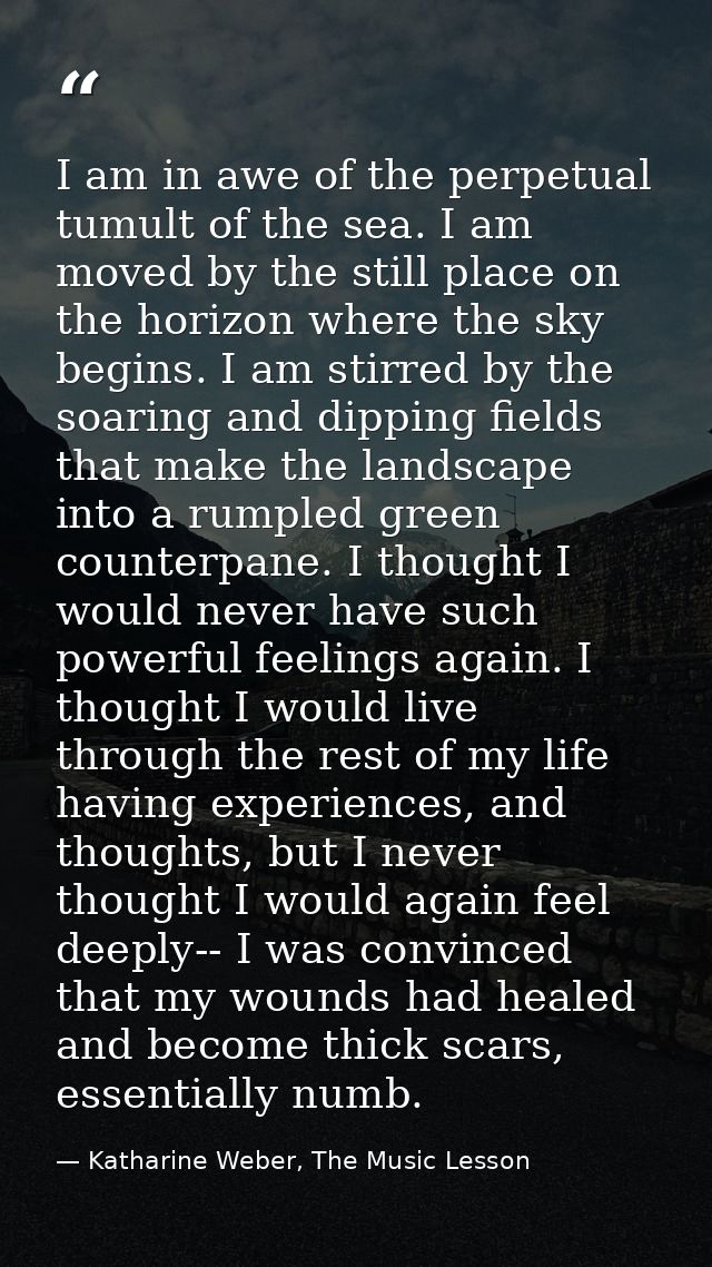I am in awe of the perpetual tumult of the sea. I am moved by the still place on the horizon where the sky begins. I am  — Katharine Weber, The Music Lesson