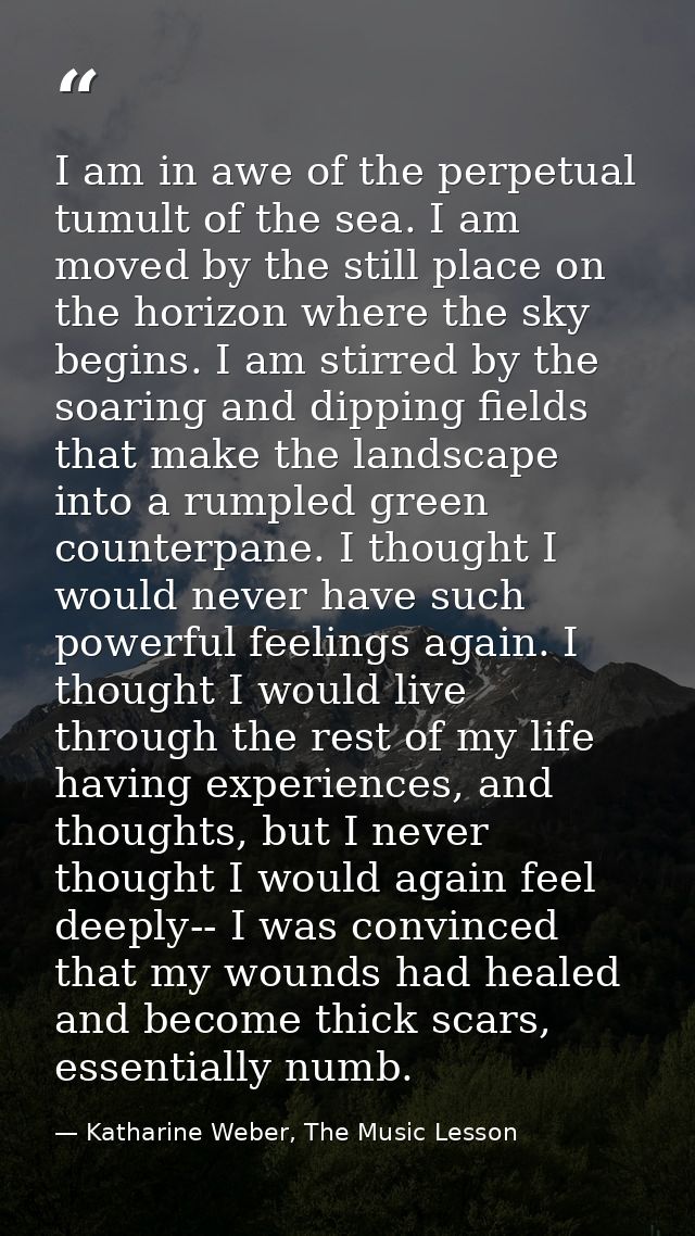 I am in awe of the perpetual tumult of the sea. I am moved by the still place on the horizon where the sky begins. I am  — Katharine Weber, The Music Lesson