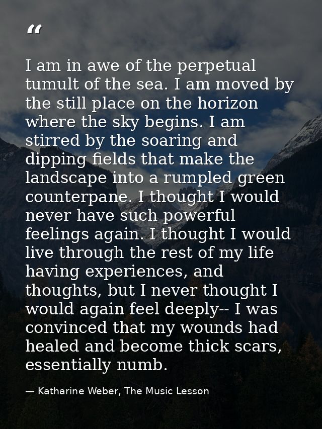 I am in awe of the perpetual tumult of the sea. I am moved by the still place on the horizon where the sky begins. I am  — Katharine Weber, The Music Lesson