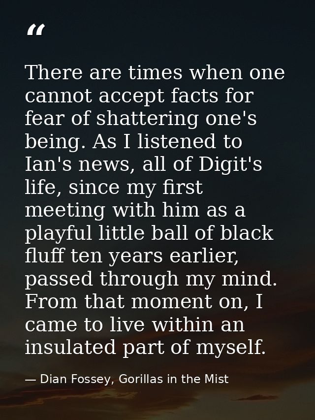 There are times when one cannot accept facts for fear of shattering one's being. As I listened to Ian's news, all of Dig — Dian Fossey, Gorillas in the Mist