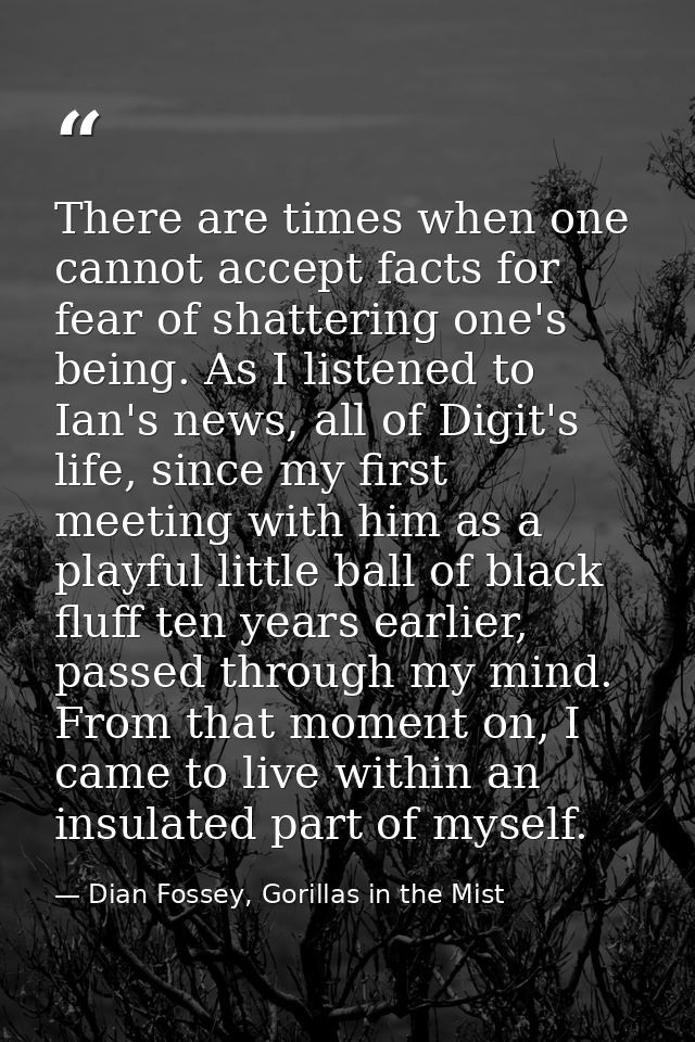 There are times when one cannot accept facts for fear of shattering one's being. As I listened to Ian's news, all of Dig — Dian Fossey, Gorillas in the Mist