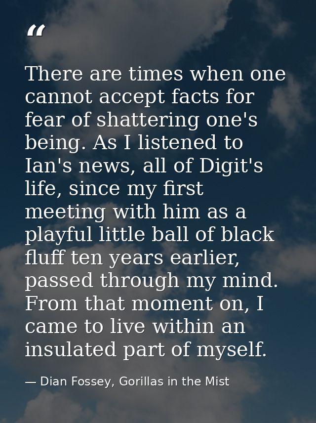 There are times when one cannot accept facts for fear of shattering one's being. As I listened to Ian's news, all of Dig — Dian Fossey, Gorillas in the Mist