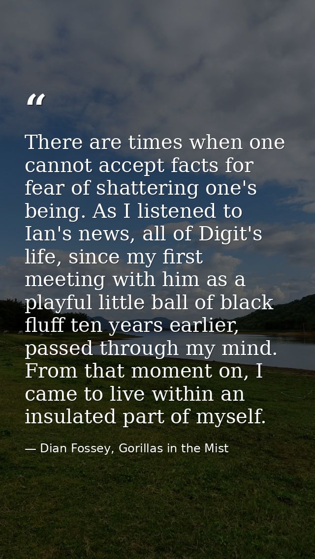 There are times when one cannot accept facts for fear of shattering one's being. As I listened to Ian's news, all of Dig — Dian Fossey, Gorillas in the Mist