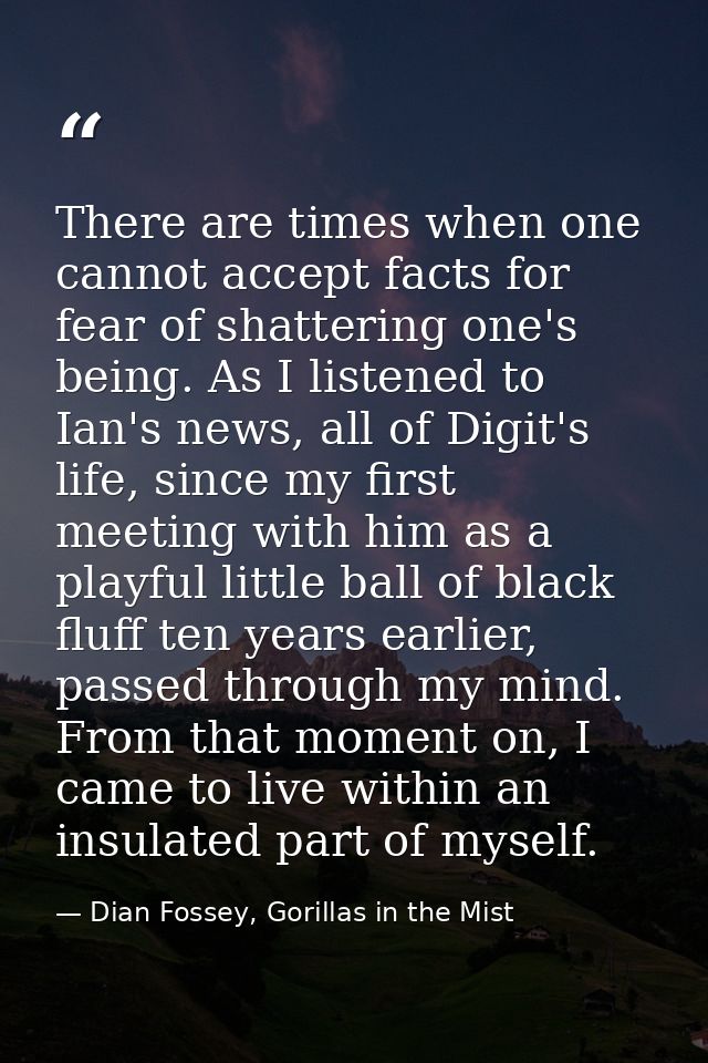 There are times when one cannot accept facts for fear of shattering one's being. As I listened to Ian's news, all of Dig — Dian Fossey, Gorillas in the Mist