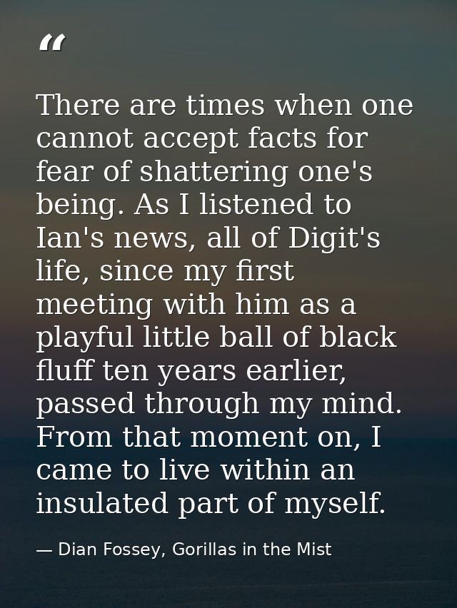 There are times when one cannot accept facts for fear of shattering one's being. As I listened to Ian's news, all of Dig — Dian Fossey, Gorillas in the Mist