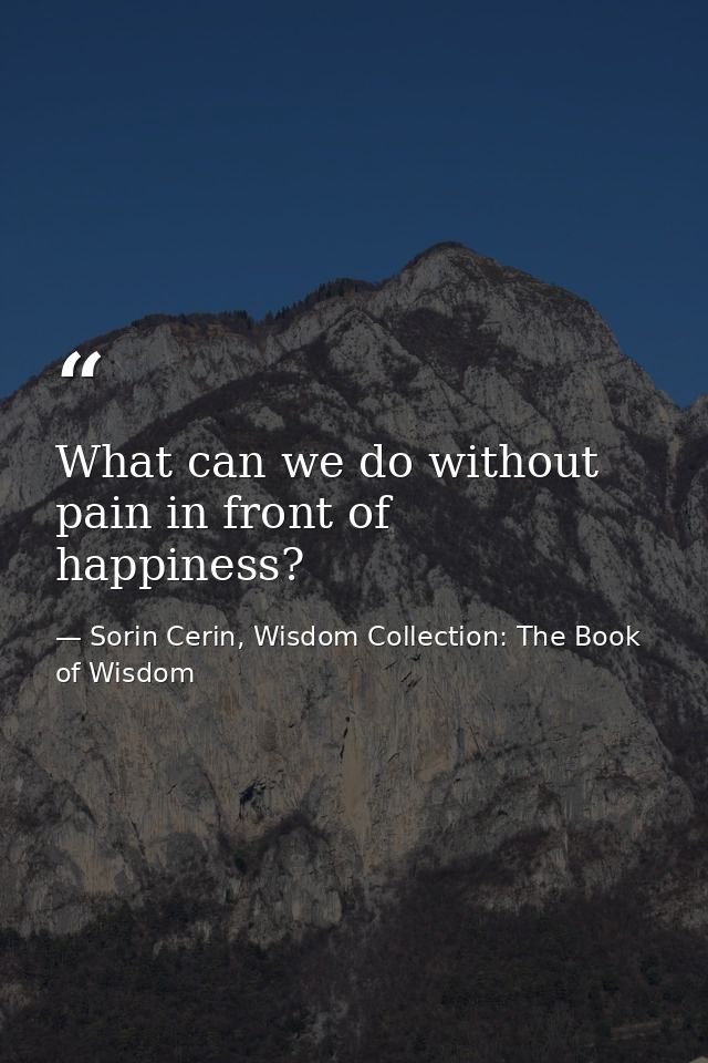 What can we do without pain in front of happiness? — Sorin Cerin, Wisdom Collection: The Book of Wisdom