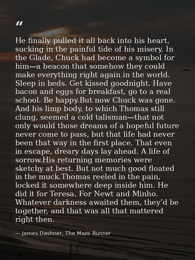 He finally pulled it all back into his heart, sucking in the painful tide of his misery. In the Glade, Chuck had become  — James Dashner, The Maze Runner